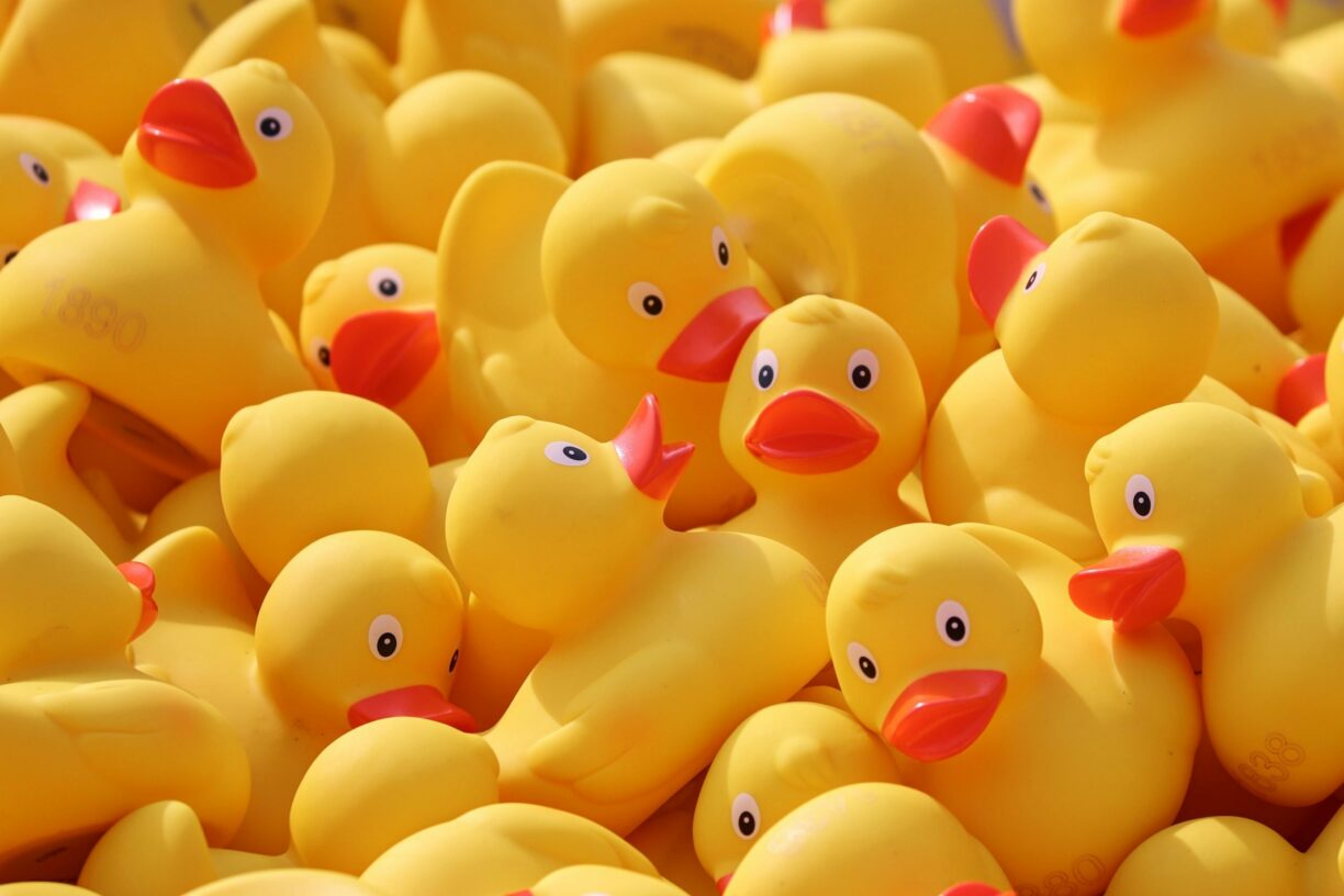 Lucky Ducky Race for Pace