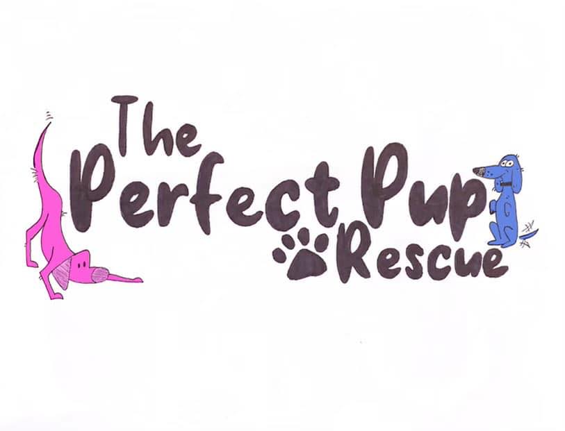 The Perfect Pup Rescue Myakka City