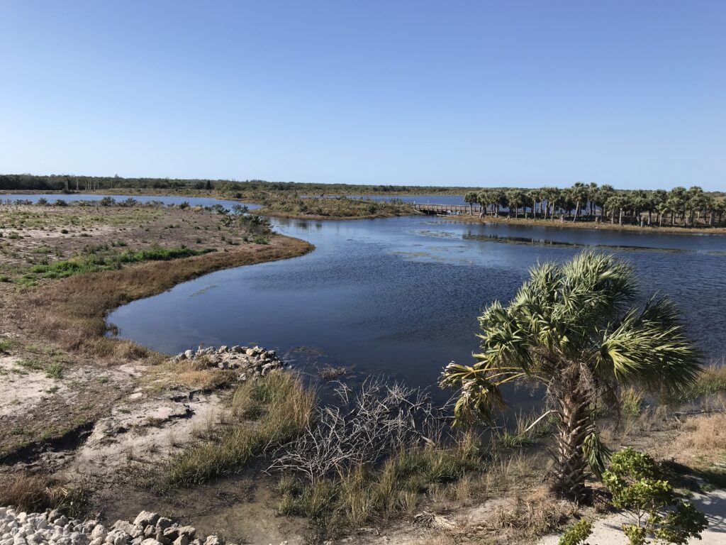 Robinson Preserve in Bradenton: A Hidden Gem Celebrating Florida Wetlands