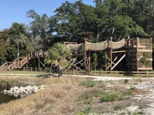 Robinson Preserve in Bradenton: A Hidden Gem Celebrating Florida Wetlands