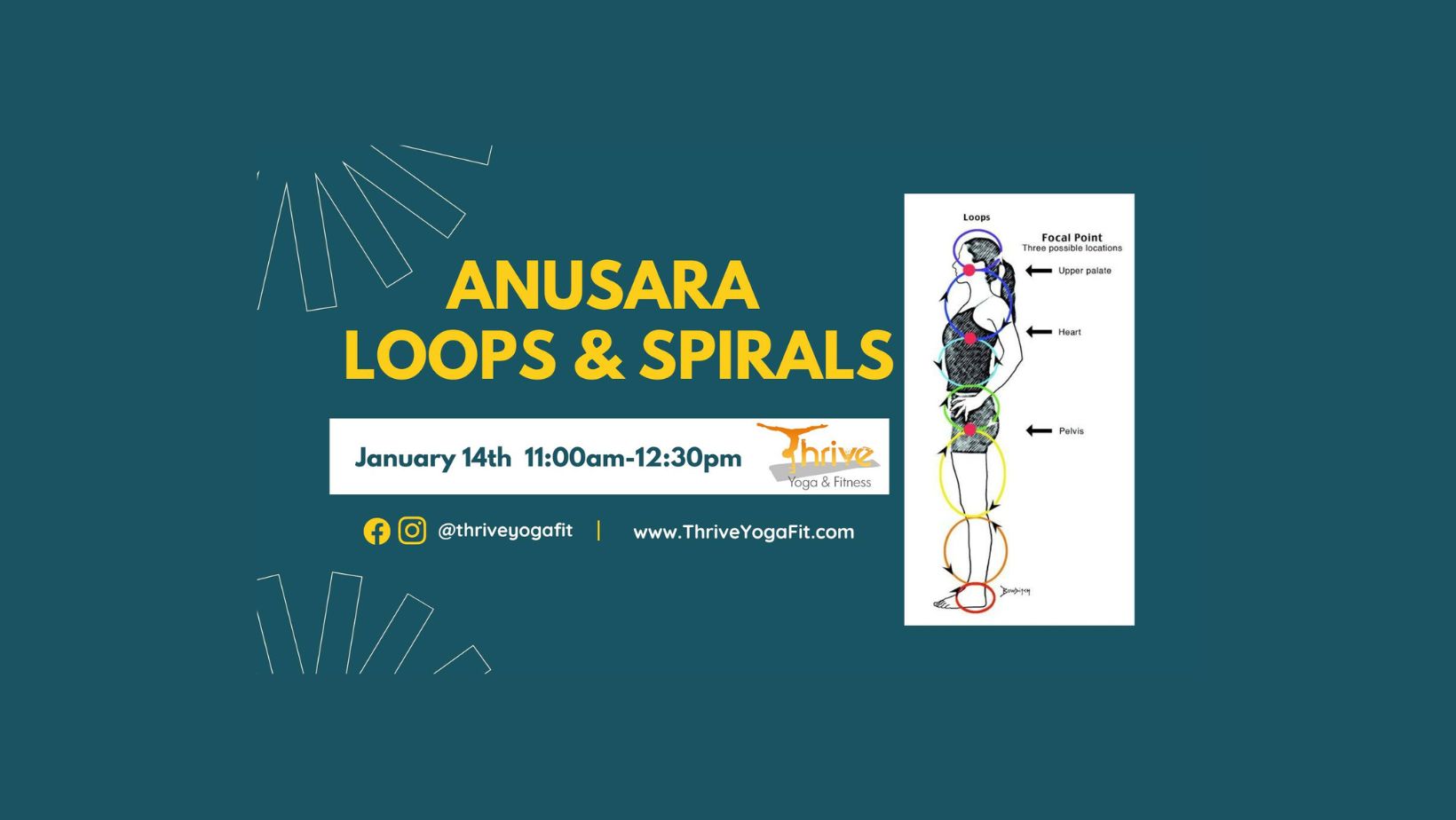 Anusara Loops and Spiral