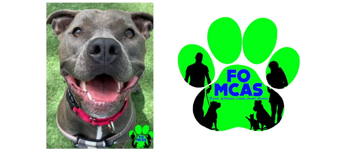 Friends of Manatee County Animal Services